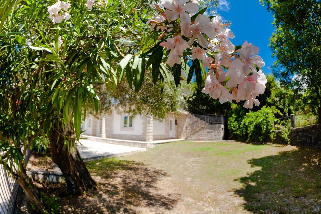 Olive Tree Villa Herceg Novi Eksteriør bilde